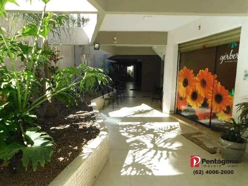 Imagem 4