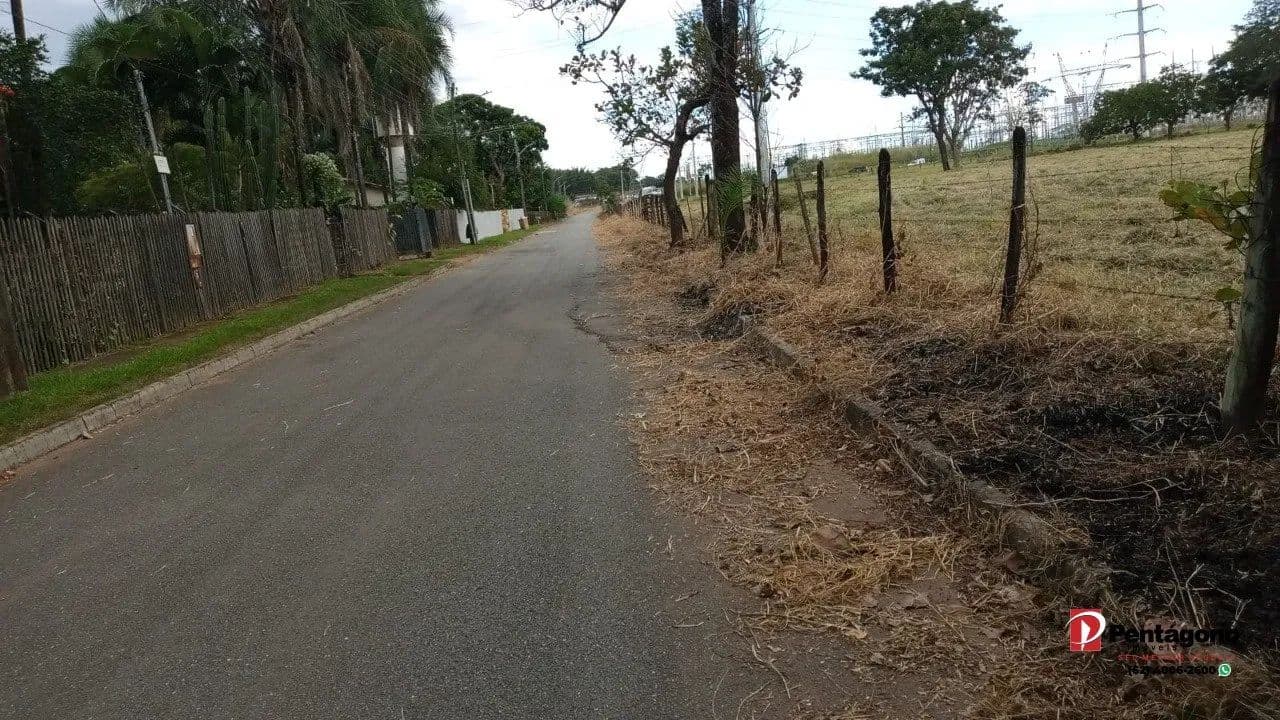 Imagem 4